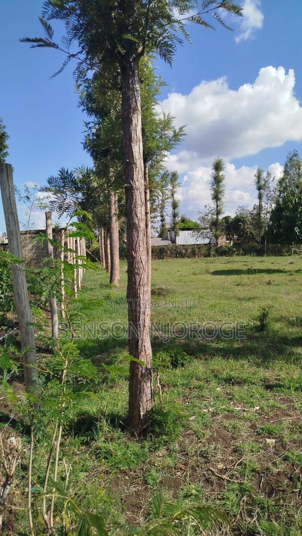 Kabati Flyover Plot for Sale - thumbnail 3