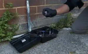 Rats and Rodents Exterminators in Nairobi