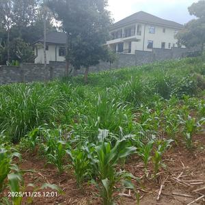 Two 50 X 100 Plots Ikinu Near Shopping Center