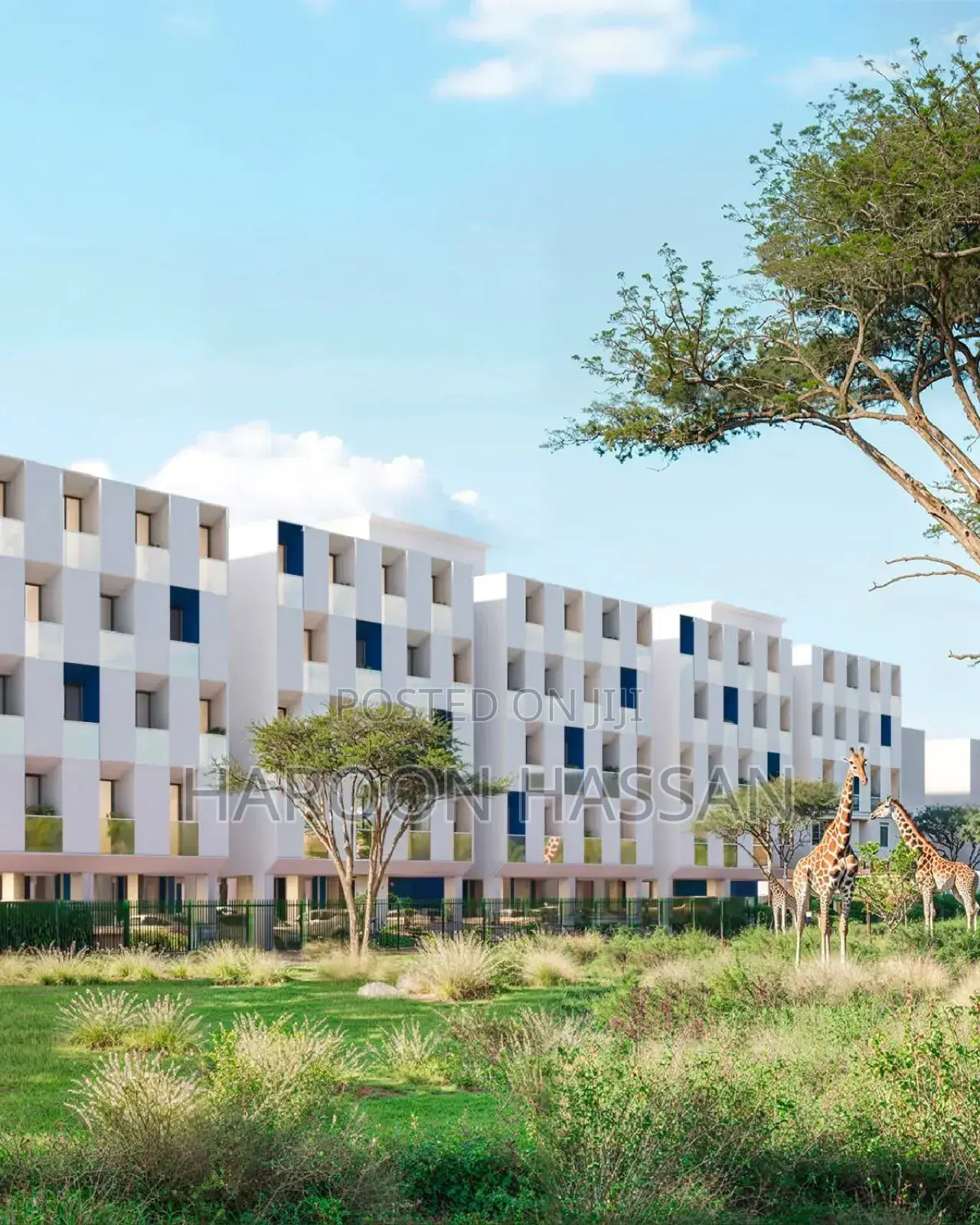 1bdrm Apartment in Tatu City, Old Junction for rent