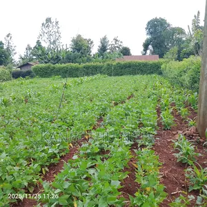 75 X 110 Plot at Magoto, Ngemwa