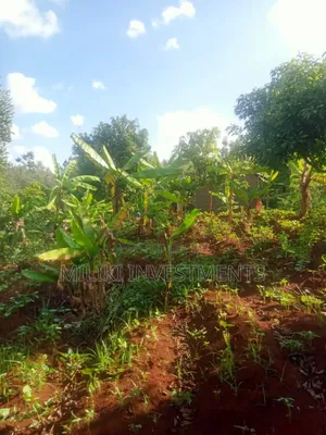 50 by 100 Plots at Kenol Sabasaba Area