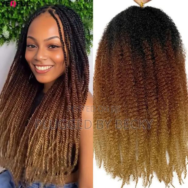 Afro Twists Imported - main view