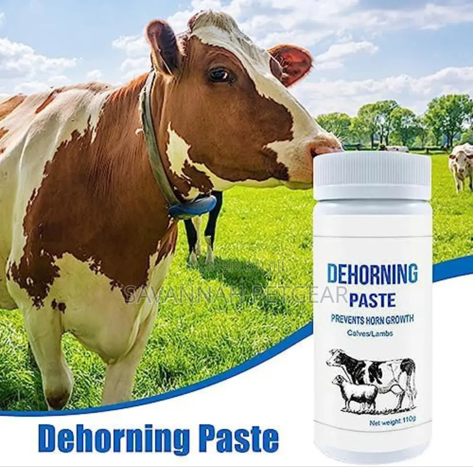 Dehorning Paste to Prevent Horn Growth in Young Calves and Lambs.