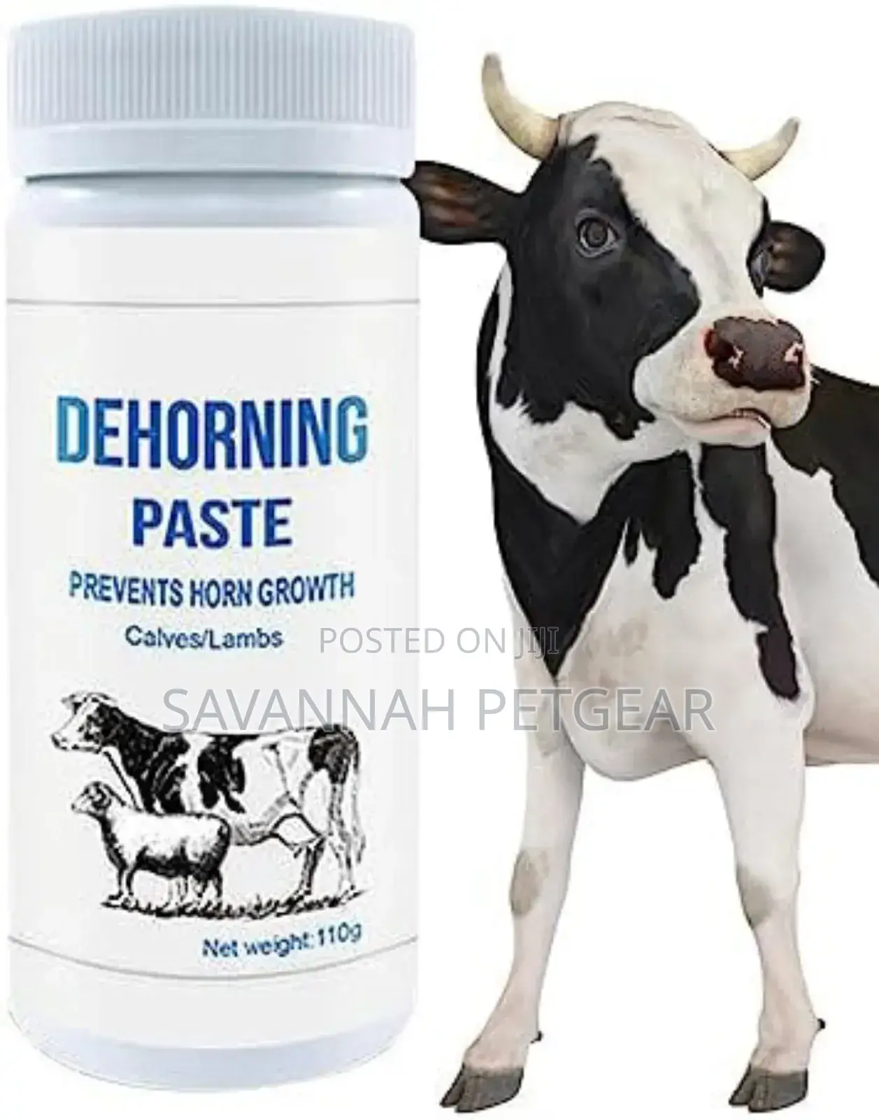 Dehorning Paste to Prevent Horn Growth in Young Calves and Lambs.