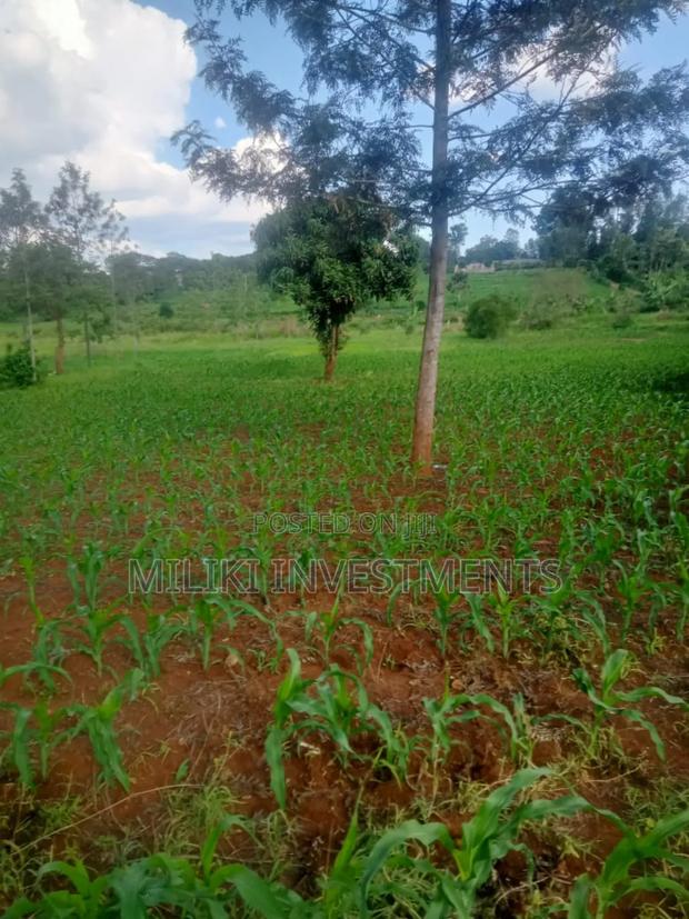One Acre Land on Sale at Sabasaba-Kamahu