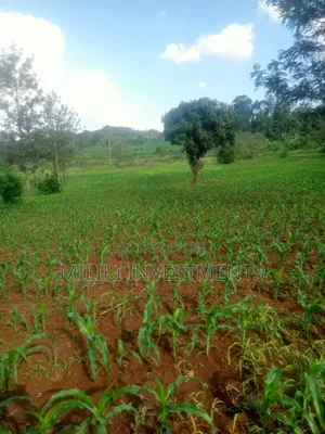 One Acre Land on Sale at Sabasaba-Kamahu