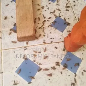Cleaning and Fumigation Serviced