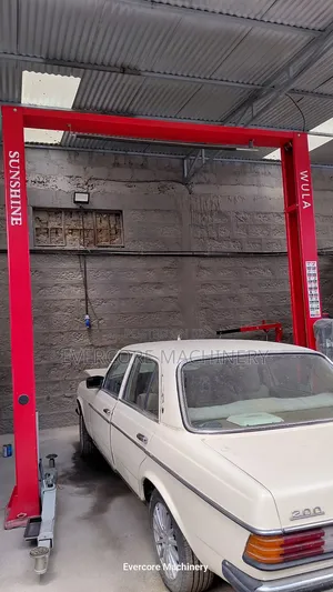 Heavy Duty Sushine Italy Two Post Car Lift Machine 4tonne Capacity