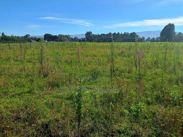 5 Acres on Quick Sale - thumbnail 5