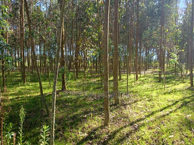 5 Acres on Quick Sale - thumbnail 7