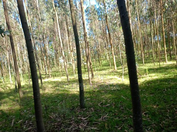 5 Acres on Quick Sale - thumbnail 9