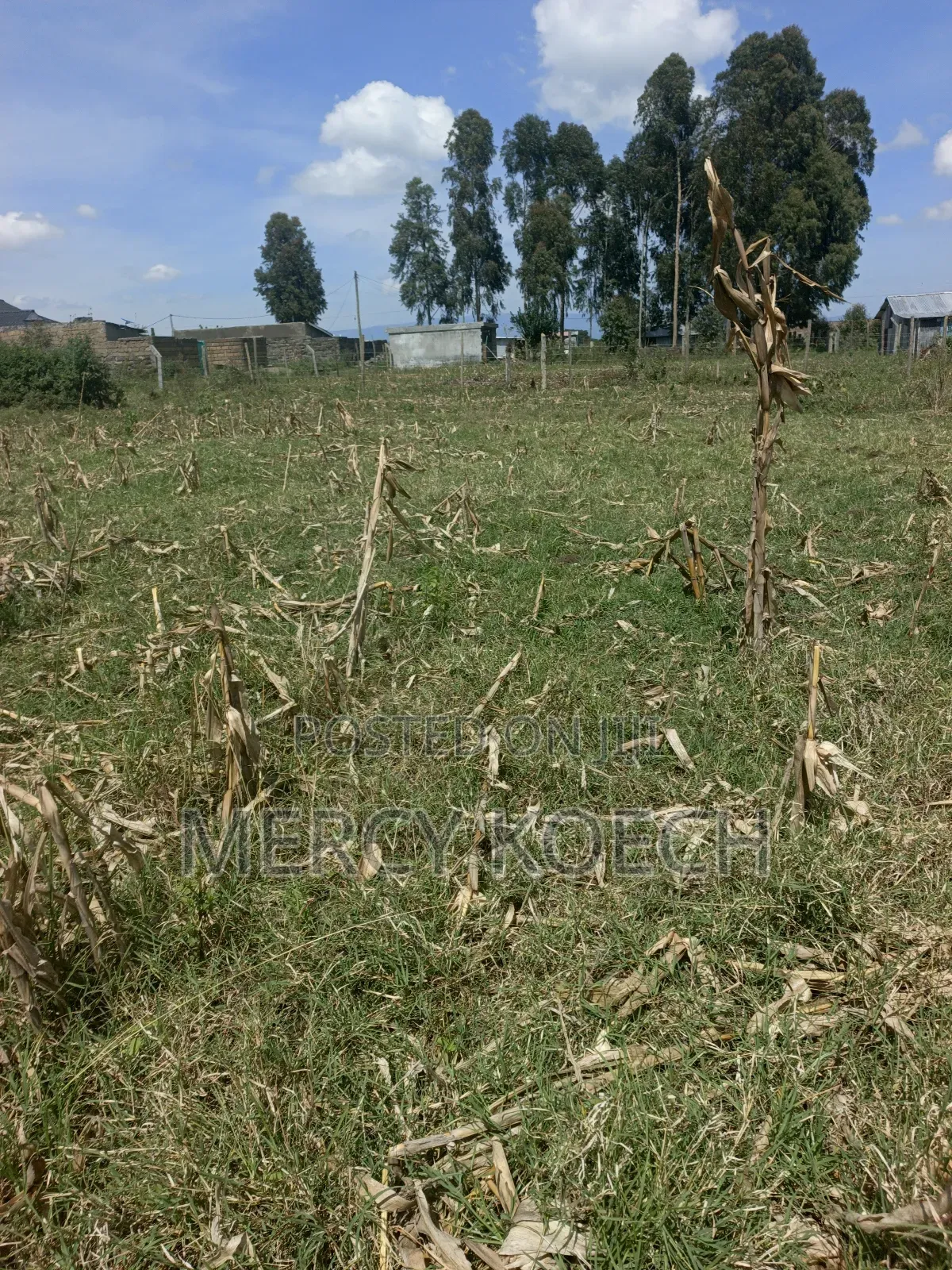 50 By 100 Plots In Nakuru