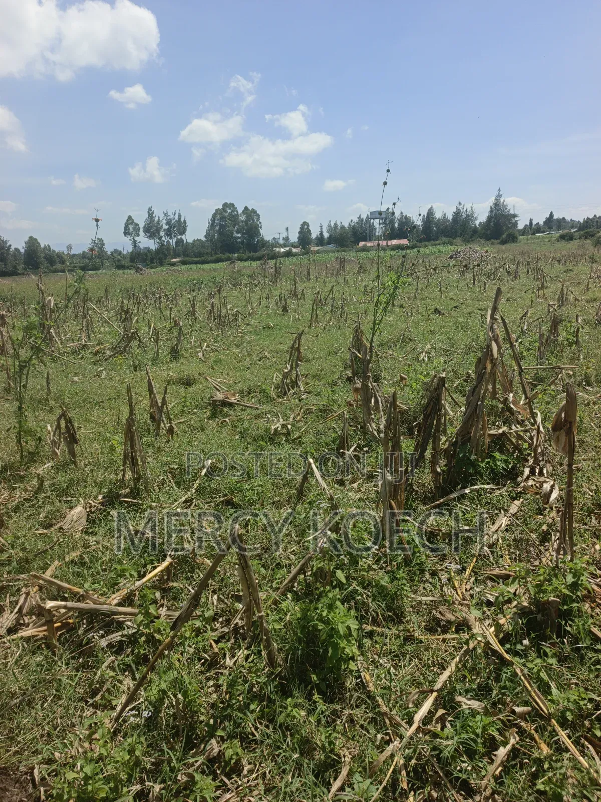 50 By 100 Plots In Nakuru