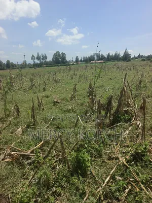50 By 100 Plots In Nakuru