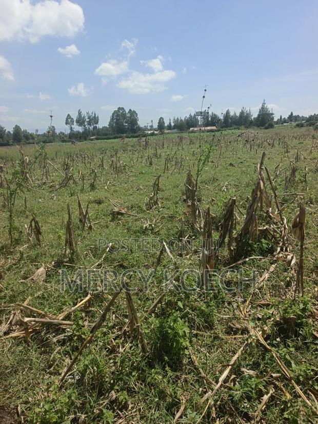 50 By 100 Plots In Nakuru - thumbnail 3