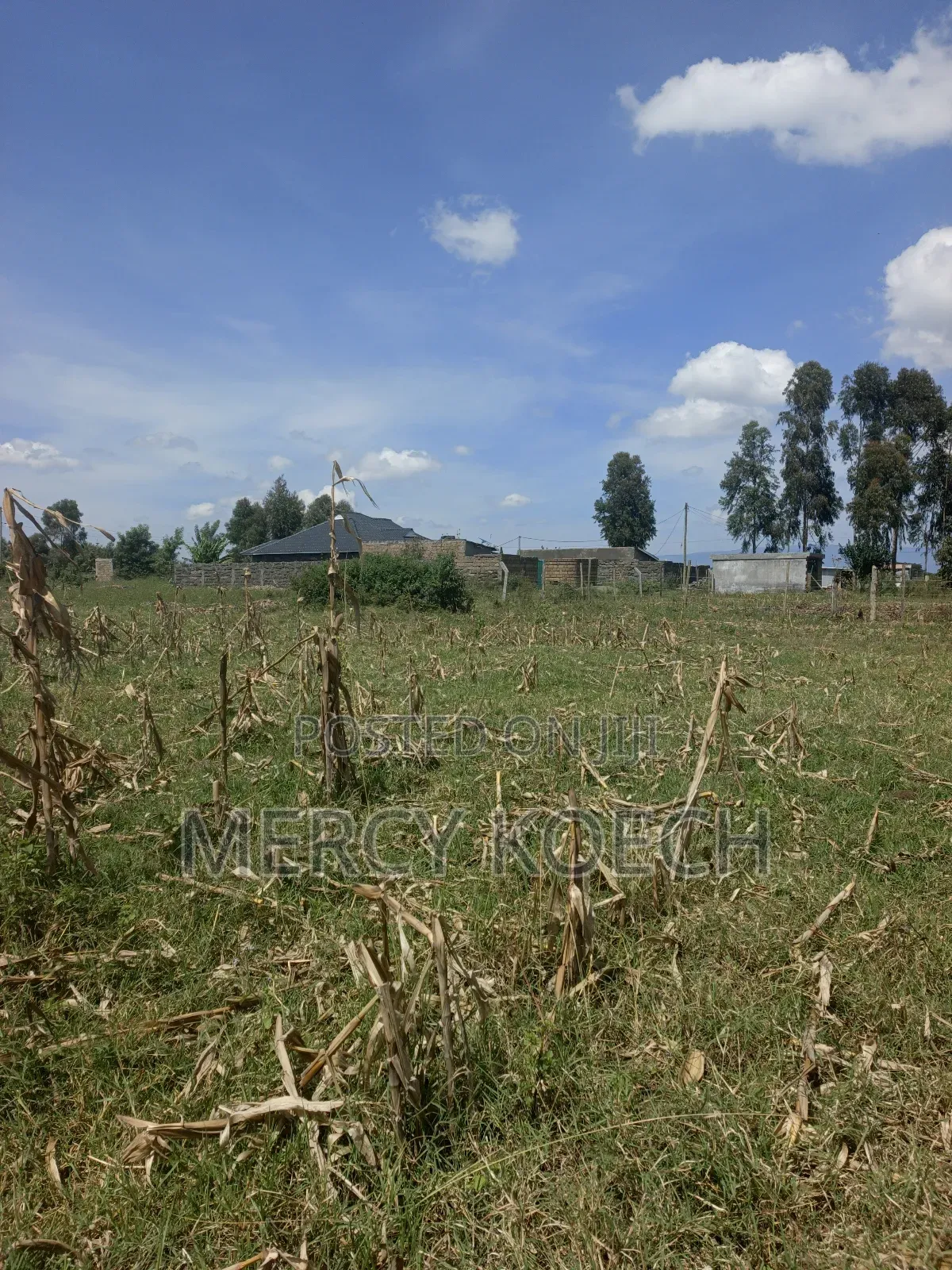50 By 100 Plots In Nakuru