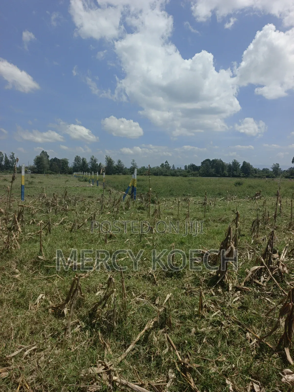 50 By 100 Plots In Nakuru