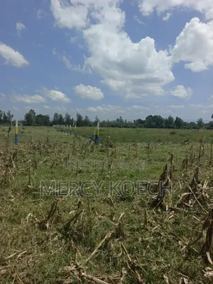 50 By 100 Plots In Nakuru