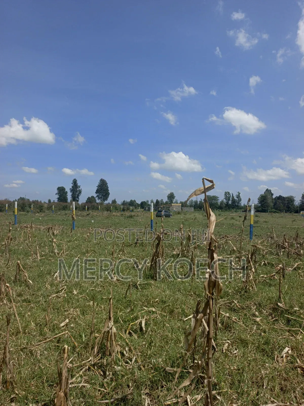 50 By 100 Plots In Nakuru