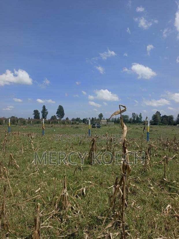 50 By 100 Plots In Nakuru - thumbnail 6