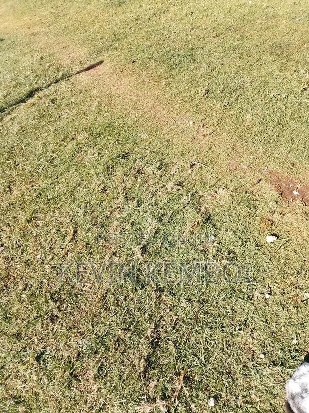 Plot for Sale in Eldoret - main view