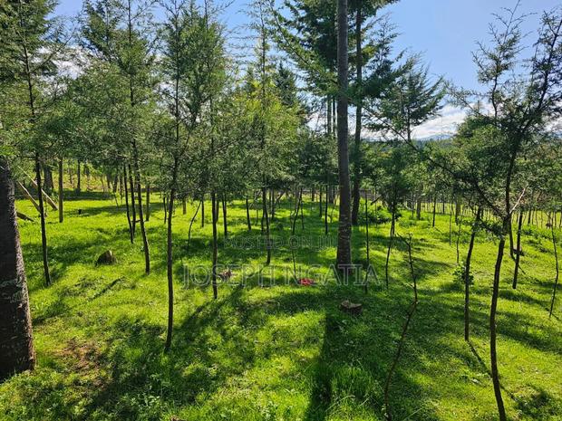 Land on Quick Sale - thumbnail 4