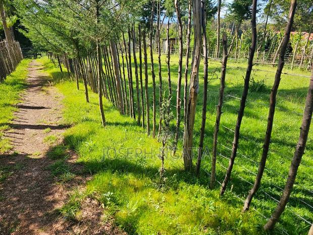 Land on Quick Sale - thumbnail 5