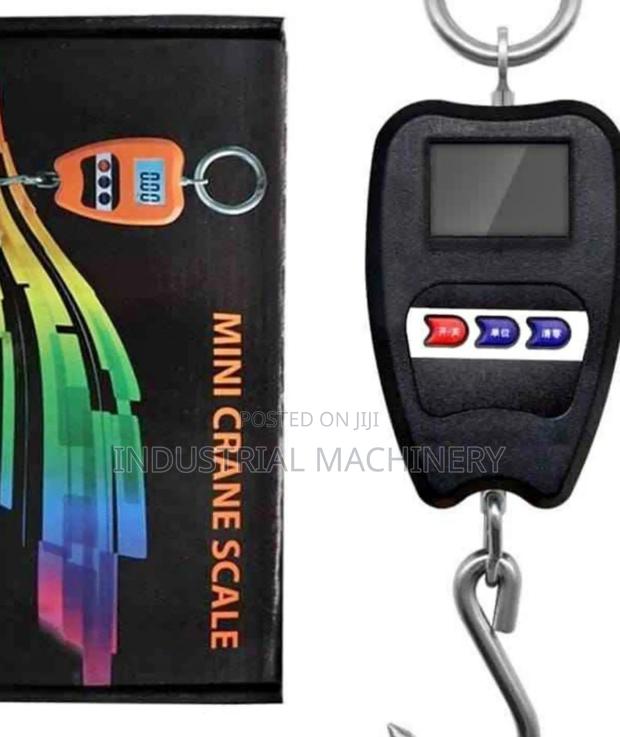 . Mini Crane Scale 200kgs - main view