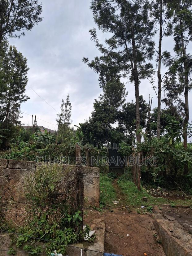 Plot Near Ruaka 50x100 at 7.5m - thumbnail 2