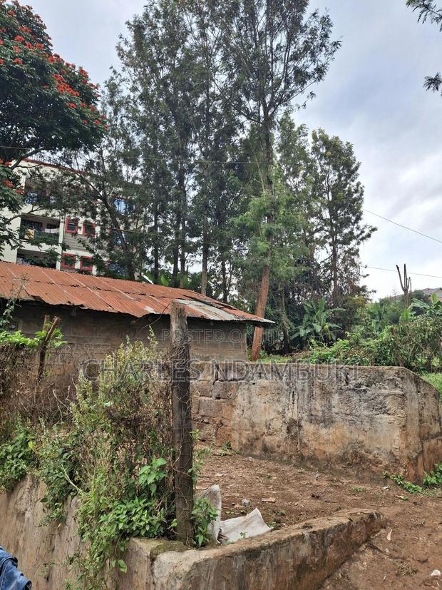 Plot Near Ruaka 50x100 at 7.5m - thumbnail 3