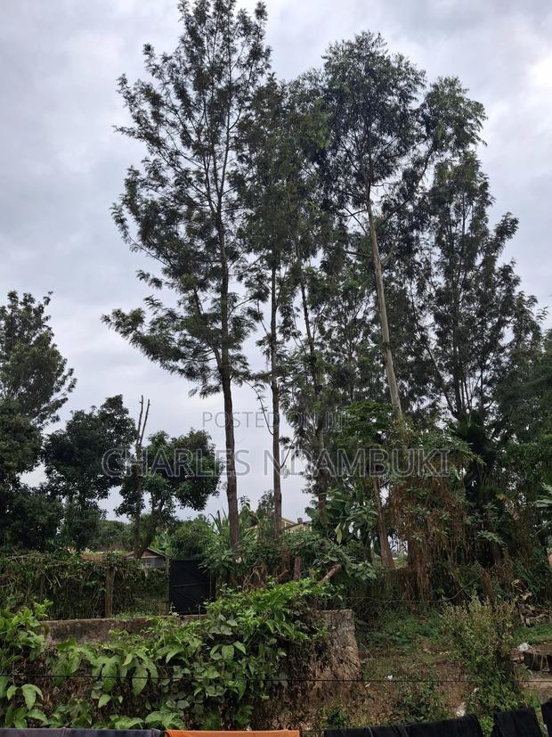 Plot Near Ruaka 50x100 at 7.5m - thumbnail 5