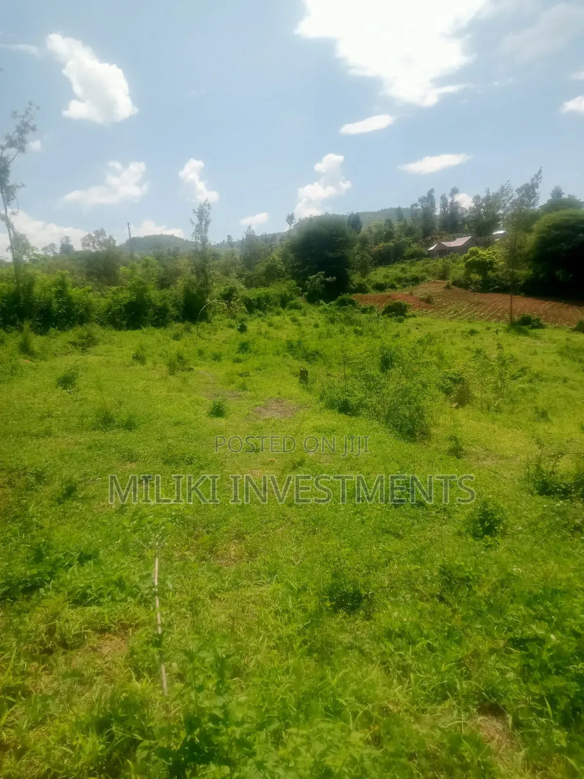 3 Acres Aon Sale at Sabasaba- Igikiro