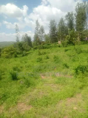3 Acres Aon Sale at Sabasaba- Igikiro