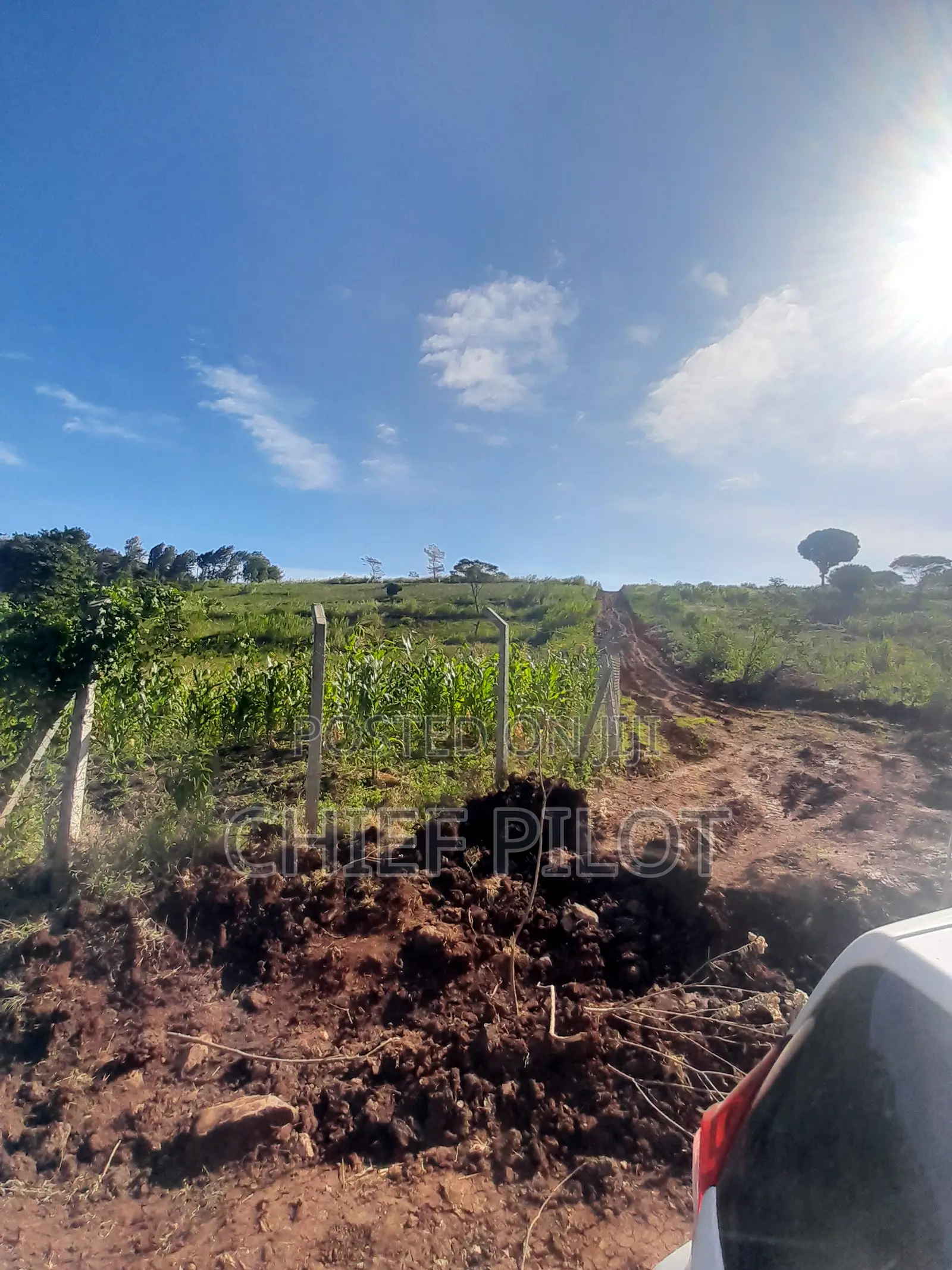 Plots for Sale