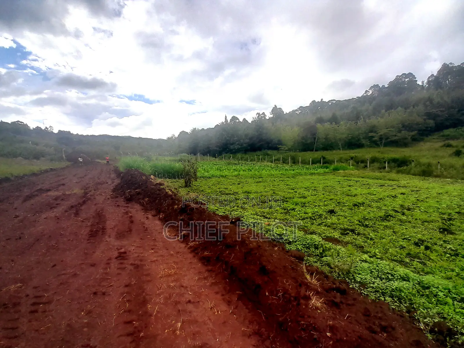 Plots for Sale