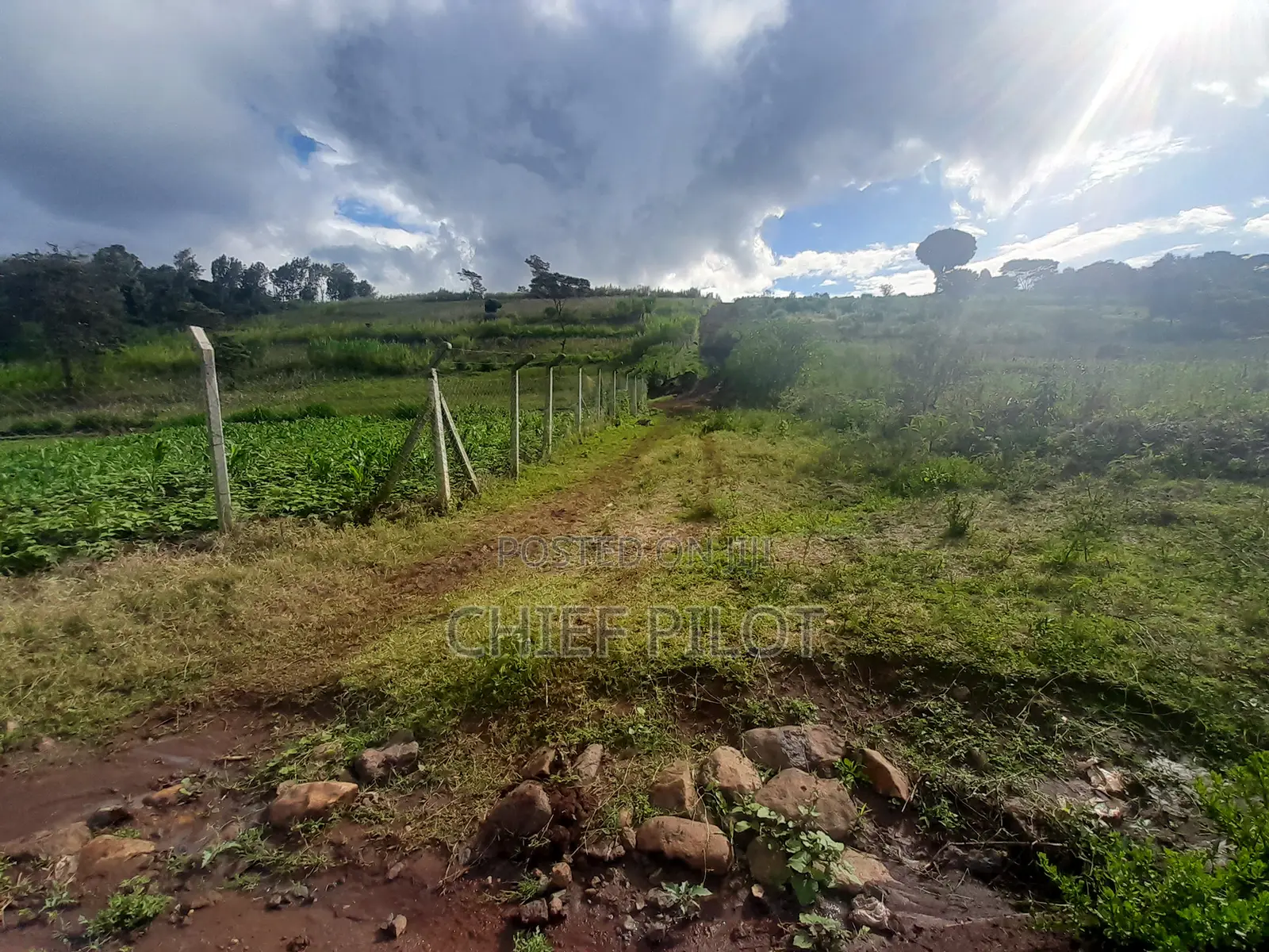 Plots for Sale