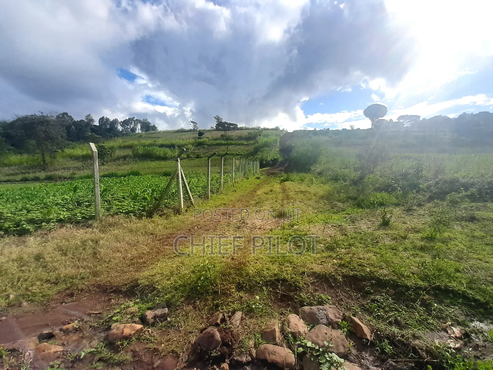 Plots for Sale