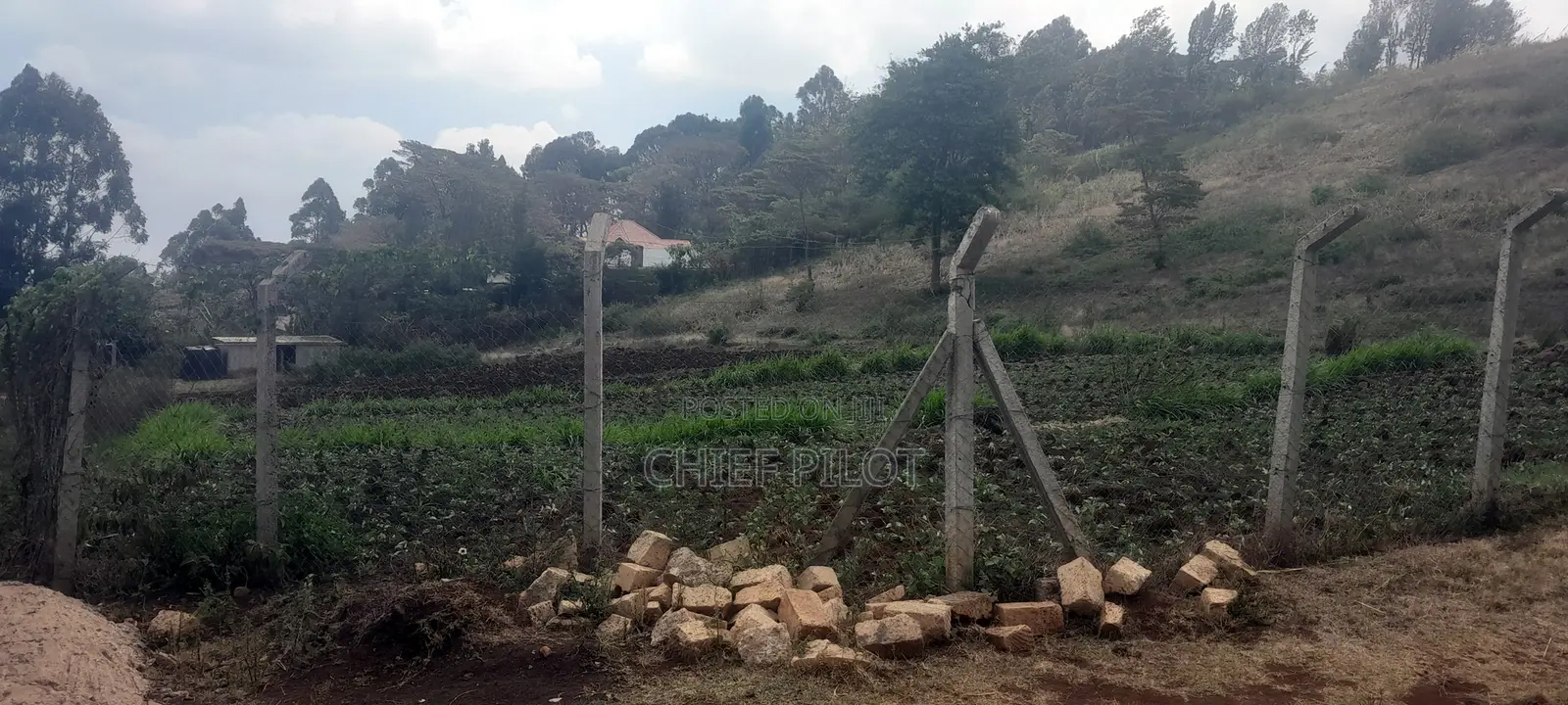 Plots for Sale