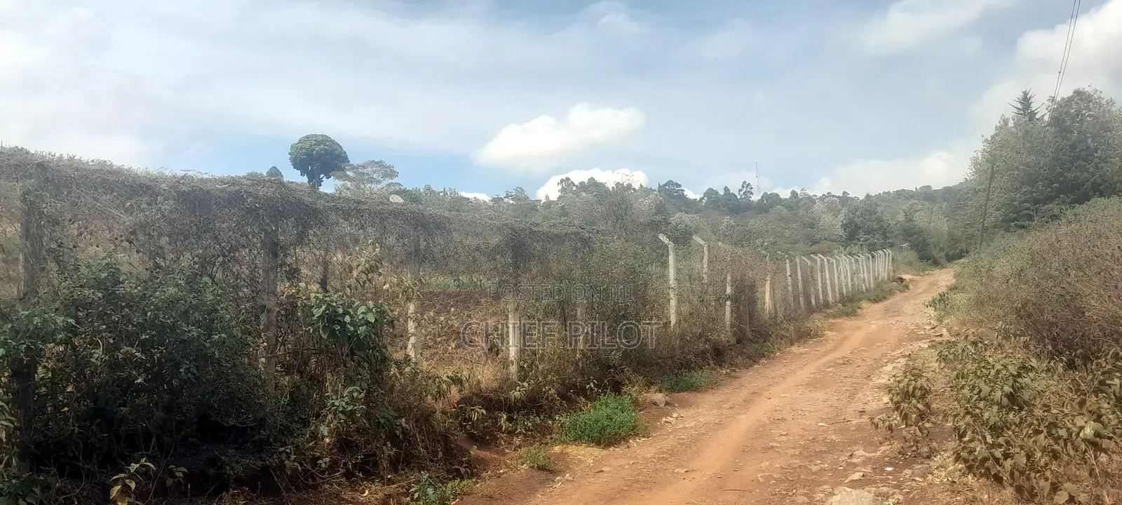 Plots for Sale