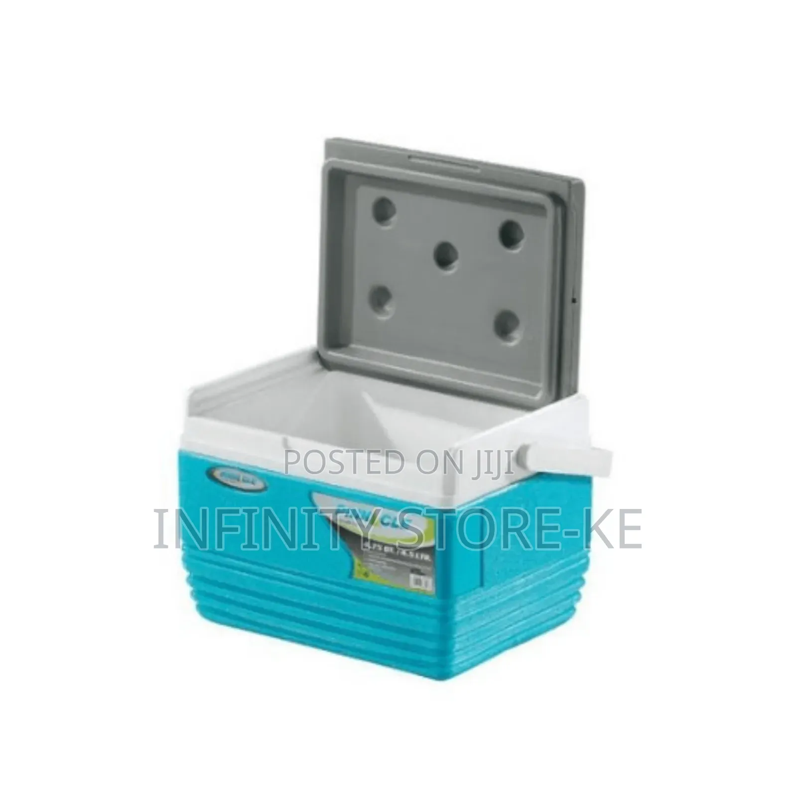 Pinnacle Cooler Box 4.5ltrs