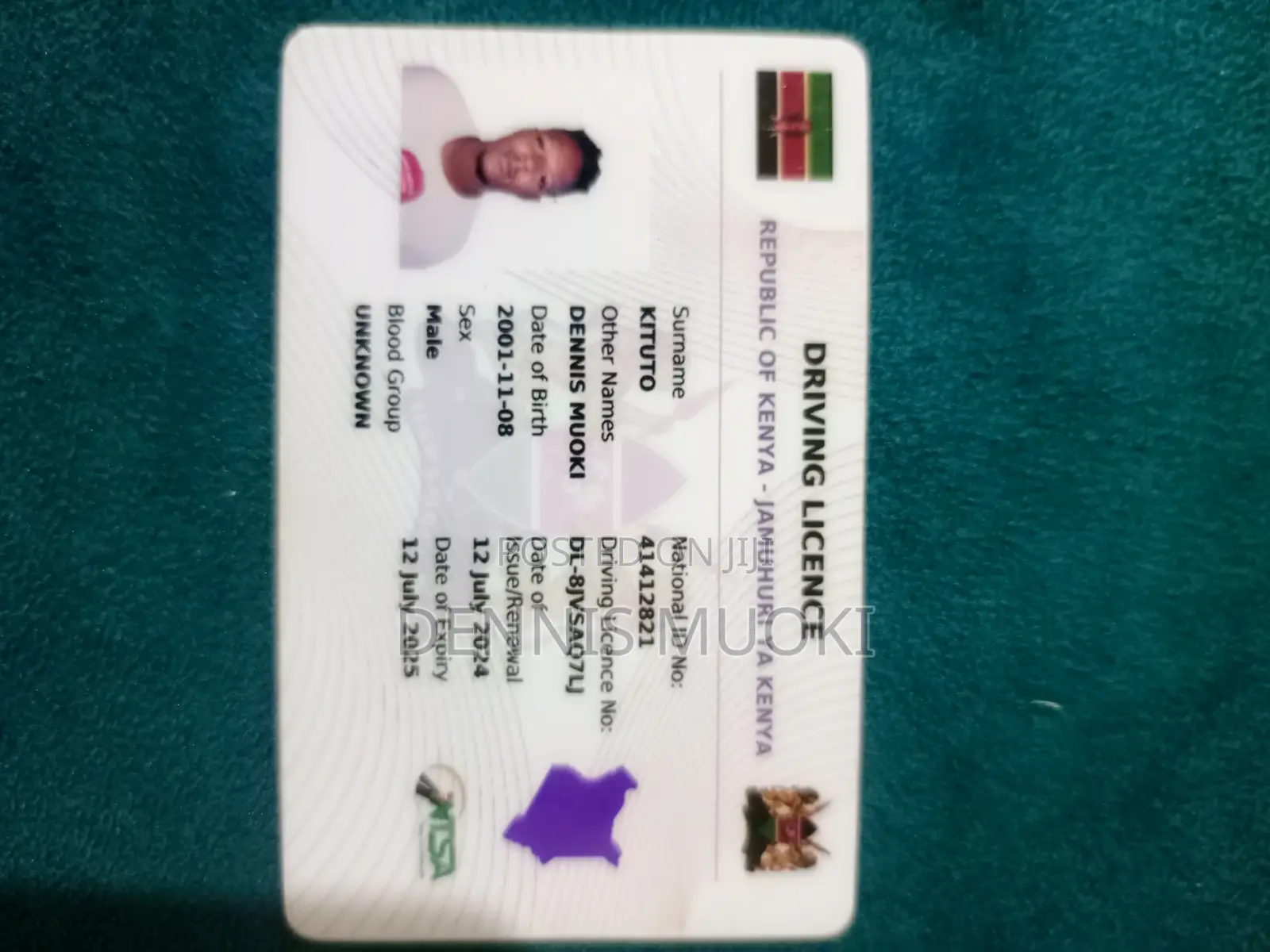 Driver/Personal Assistant