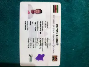 Driver/Personal Assistant