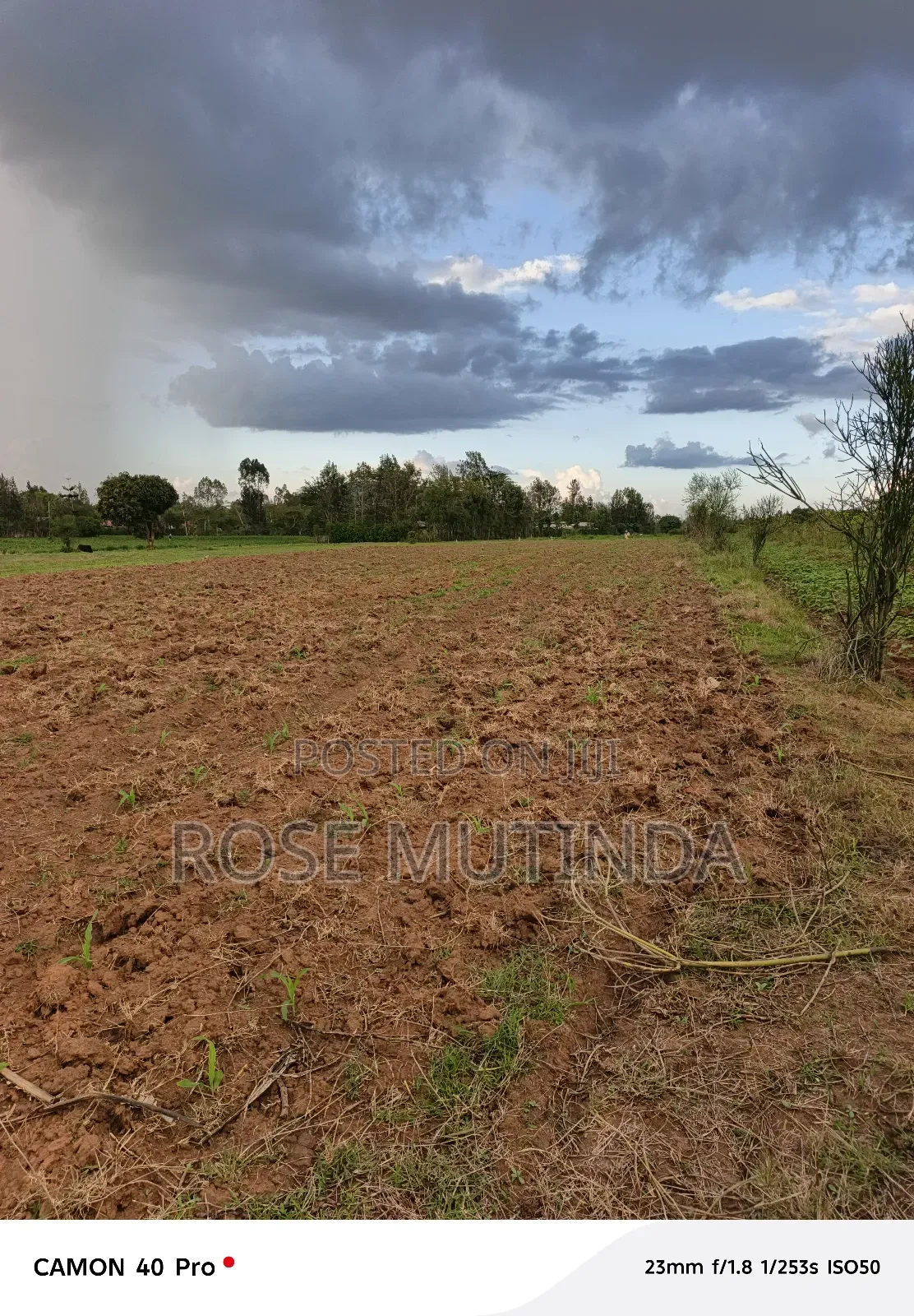 1and Half Acre at Tala
