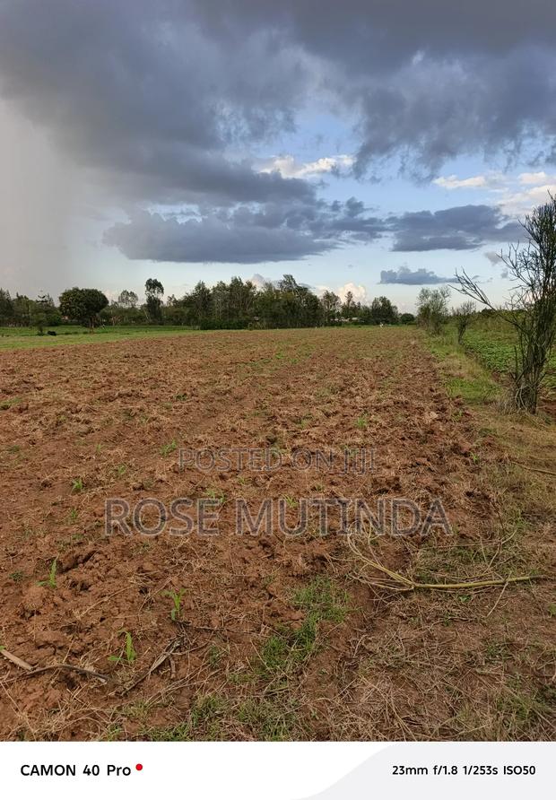 1and Half Acre at Tala - thumbnail 3