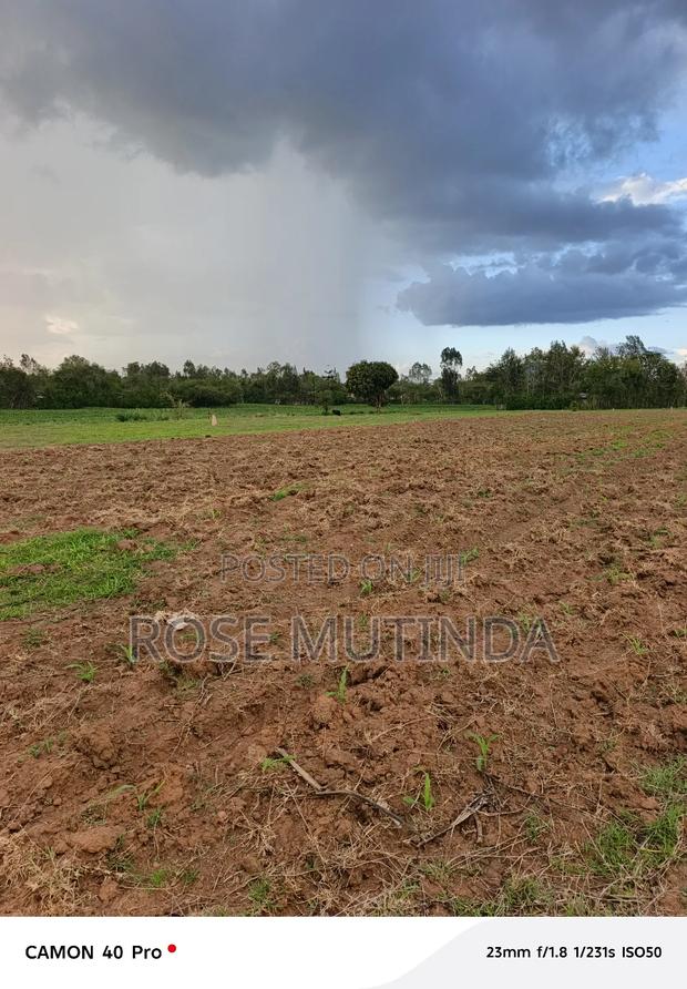 1and Half Acre at Tala - thumbnail 4