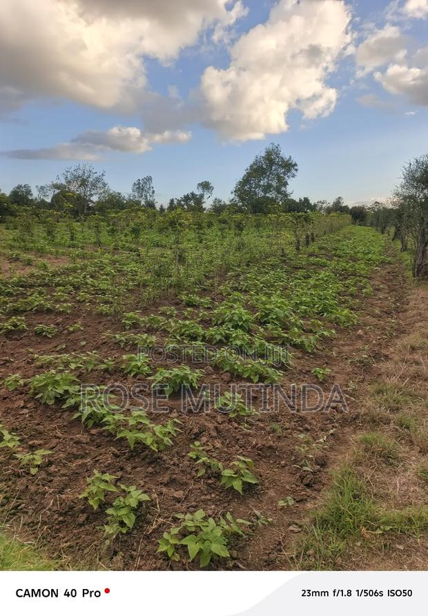 1and Half Acre at Tala - thumbnail 6