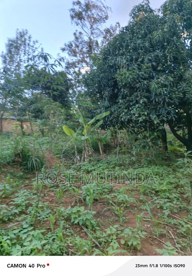 100by 100 at Tala - thumbnail 4