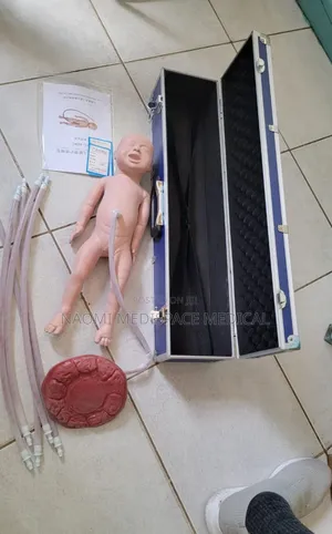 Placenta Model/ Baby Manikin With Placenta