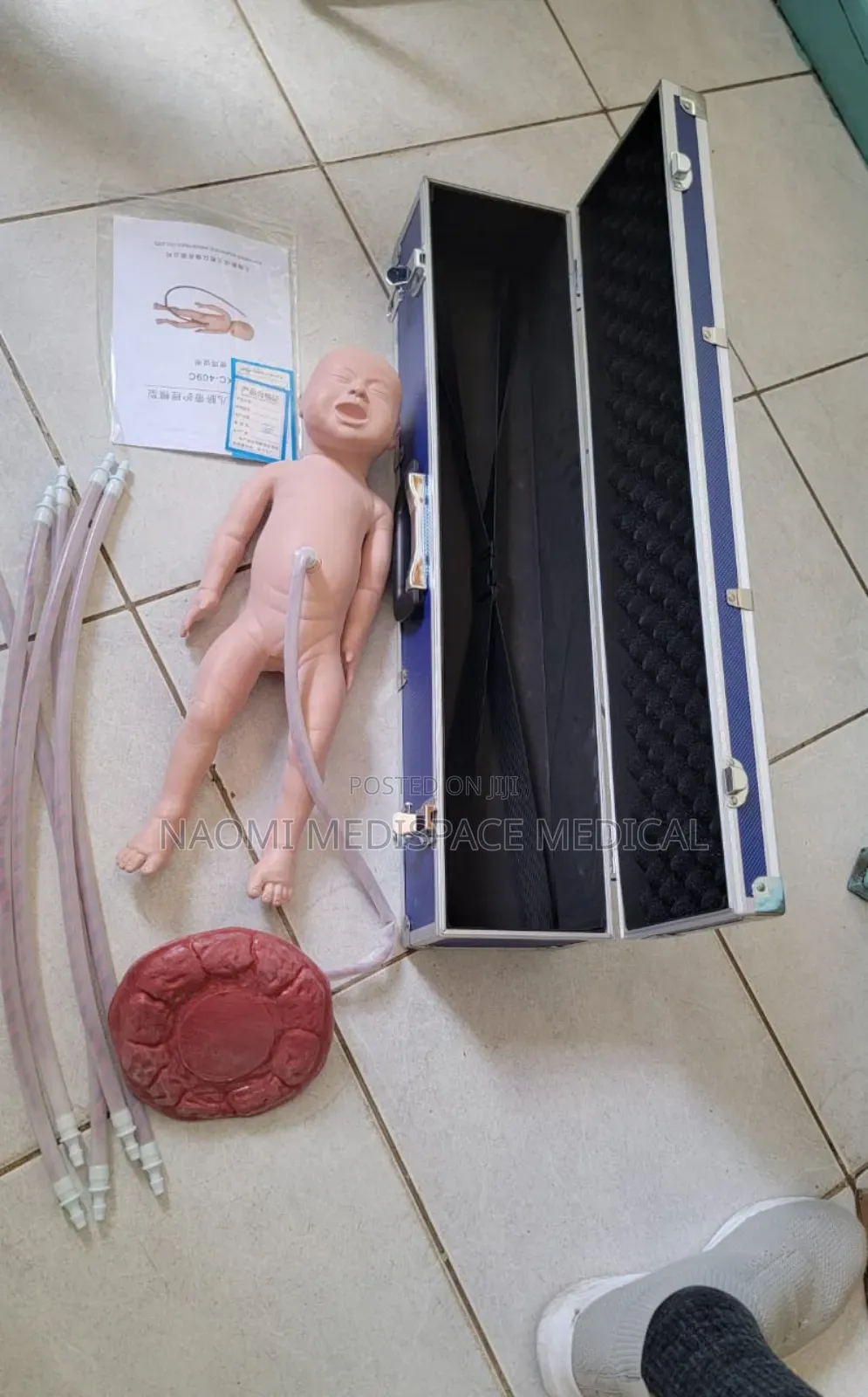 Placenta Model/ Baby Manikin With Placenta